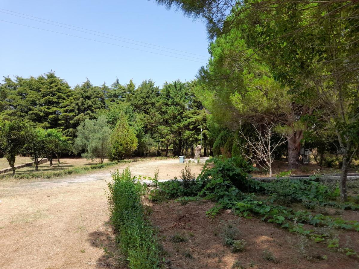 Lemontree Apartments Kassiopi Bagian luar foto
