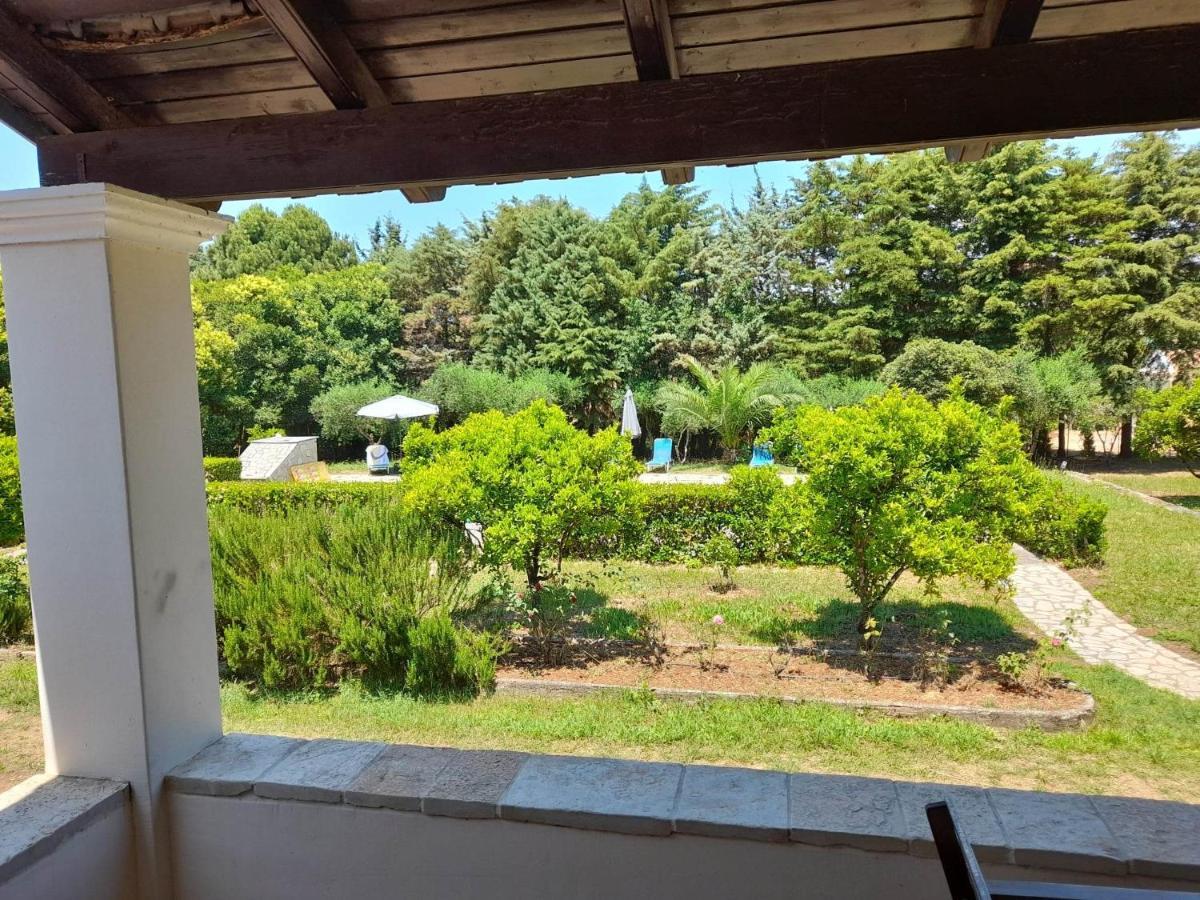 Lemontree Apartments Kassiopi Bagian luar foto